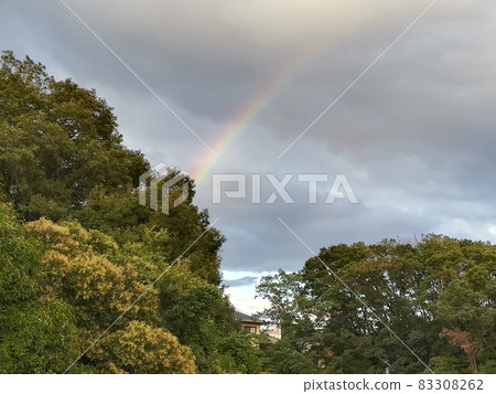 Rainbow over the sky after the rain Rainbow over the sky after the rain 83308262