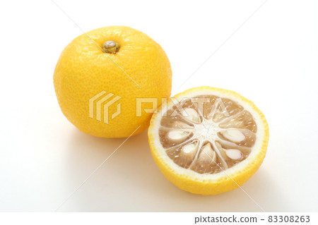 香櫞 香櫞 83308263