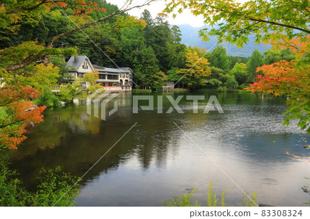 【大分縣】初秋的金鱗湖（湯布院溫泉） 83308324