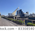 Tennozu Isle Wood Deck Promenade 83308540