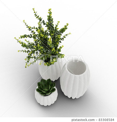 vases with plants and succulents on a white background 3d illustration 83308584