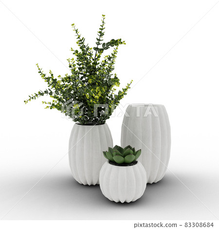 vases with plants and succulents on a white background 83308684