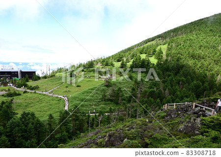Promenade from Pilatus Tateshina Ropeway Sancho Station to Kita Yatsugatake Tsuboniwa Nature Park 83308718