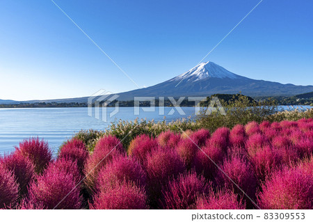 [山梨縣]富士山和Kokia 83309553