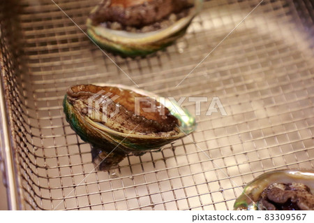 鮑魚料理 鮑魚料理 83309567