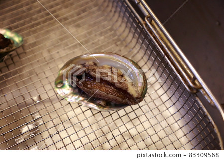 鮑魚料理 鮑魚料理 83309568