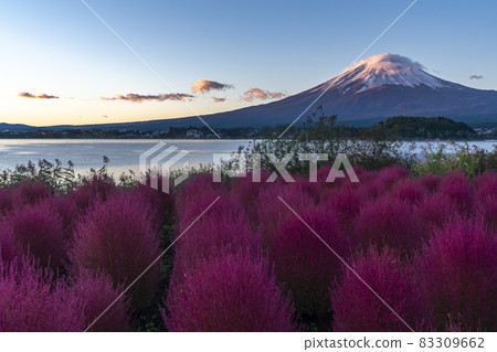 [山梨縣]富士山和Kokia 83309662