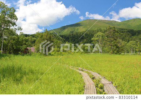 Ozegahara Gunma Prefecture Oze National Park 83310114