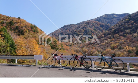 Autumn leaves Kenzan cycling Autumn leaves Kenzan cycling 83310411