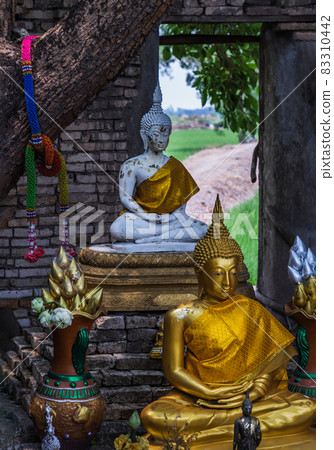 Buddha statue at The ancient of a 200 year old church. Wat Pah Krathum. Buddha statue at The ancient of a 200 year old church. Wat Pah Krathum. 83310442