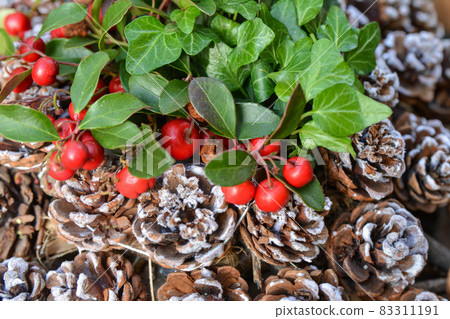 red Christmas berries and cones on the snow 83311191