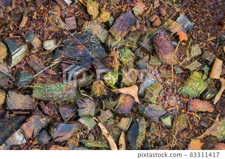 Pile of dried coconut husk peel in plastic sack. 83311417