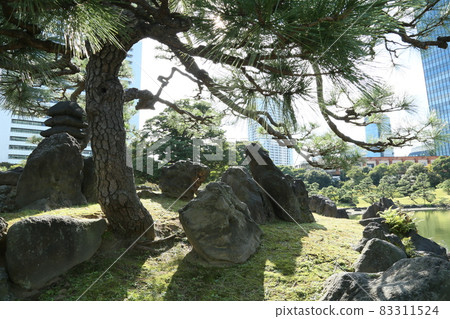 Shiba Rikyu皇宮花園 Shiba Rikyu皇宮花園 83311524