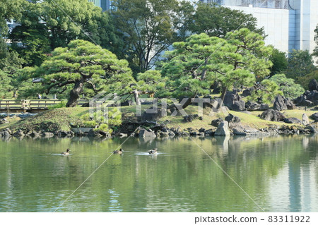 Shiba Rikyu皇宮花園 Shiba Rikyu皇宮花園 83311922