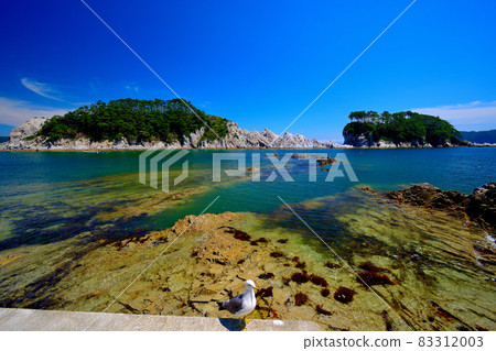 Gokuraku Jodogahama, Toishihama, and Kamome from the promenade, Jodogahama, Kennoyama, Tohoku, Miyako City, Iwate Prefecture (2) 83312003