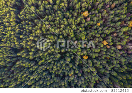 Directly above aerial drone full frame shot of green emerald pine forests and yellow foliage groves with beautiful texture of treetops. Beautiful fall season scenery. Mountains in autumn golden colors Directly above aerial drone full frame shot of green emerald pine forests and yellow foliage groves with beautiful texture of treetops. Beautiful fall season scenery. Mountains in autumn golden colors 83312413