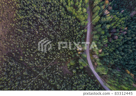 Aerial view from drone of rural road leading through autumn forests and groves in yellow green colors. Dense forest in golden time and empty highway in fall season. Roadway among colorful treetops Aerial view from drone of rural road leading through autumn forests and groves in yellow green colors. Dense forest in golden time and empty highway in fall season. Roadway among colorful treetops 83312445