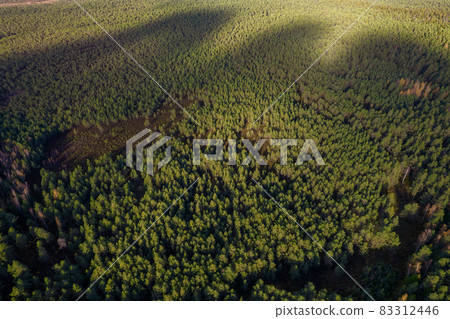 Directly above aerial drone full frame shot of green emerald pine forests and yellow foliage groves with beautiful texture of treetops. Beautiful fall season scenery. Mountains in autumn golden colors Directly above aerial drone full frame shot of green emerald pine forests and yellow foliage groves with beautiful texture of treetops. Beautiful fall season scenery. Mountains in autumn golden colors 83312446