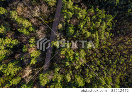 Aerial view from drone of rural road leading through autumn forests and groves in yellow green colors. Dense forest in golden time and empty highway in fall season. Roadway among colorful treetops 83312472