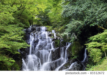 A popular spot in Itoshima, the beautiful Shiraito Waterfall (Itoshima City, Fukuoka Prefecture) A popular spot in Itoshima, the beautiful Shiraito Waterfall (Itoshima City, Fukuoka Prefecture) 83312672