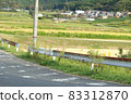 Countryside landscape-when cosmos blooms- 83312870