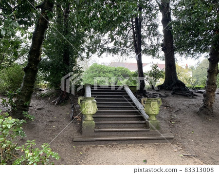 In the park 83313008