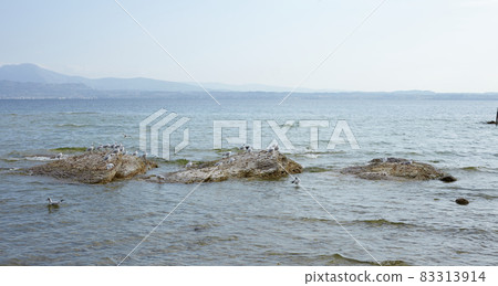 Sirmione - Lake Garda Italy 83313914