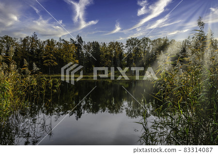 beautiful autumn landscape near the city park pond 83314087