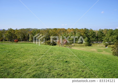 前田森林公園(從 Nagame no Oka) 前田森林公園(從 Nagame no Oka) 83314121