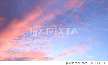 秋天早晨的天空,美麗的粉紅雲,只在天空中散佈著雲彩 秋天早晨的天空,美麗的粉紅雲,只在天空中散佈著雲彩 83314131