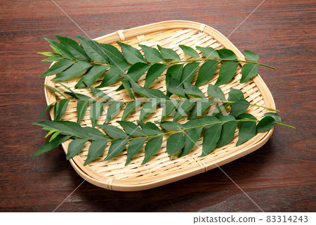 Raw curry leaf leaves Raw curry leaf leaves 83314243