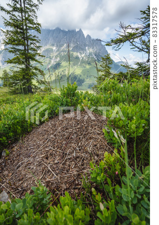 Hiking trail around Wilder Kaiser mountains, Tirol - Austria 83317578