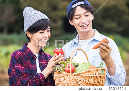夫婦在田裡收穫蔬菜 83318224
