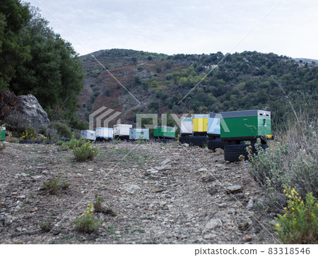 honey colecting farm in mountains, bees boxes in field honey colecting farm in mountains, bees boxes in field 83318546
