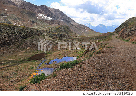 On the side of a mountain road On the side of a mountain road 83319029