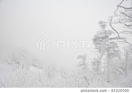 Winter scenery of Deogyusan 83320500