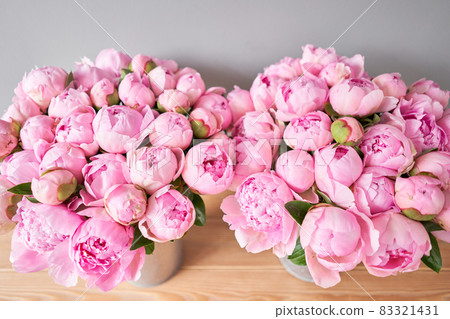 Pink Angel Cheeks peonies in a metal vase. Beautiful peony flower for catalog or online store. Floral shop concept . Beautiful fresh cut bouquet. Flowers delivery Pink Angel Cheeks peonies in a metal vase. Beautiful peony flower for catalog or online store. Floral shop concept . Beautiful fresh cut bouquet. Flowers delivery 83321431