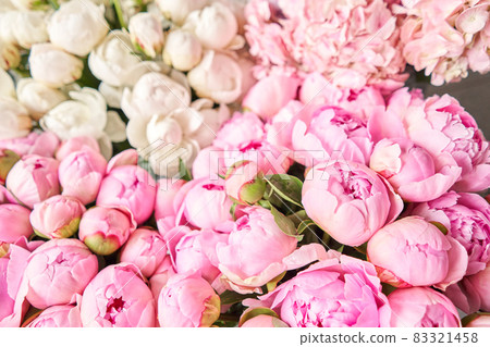 Floral carpet or Wallpaper. Background of pink and white peonies. Morning light in the room. Beautiful peony flower for catalog or online store. Floral shop and delivery concept . 83321458