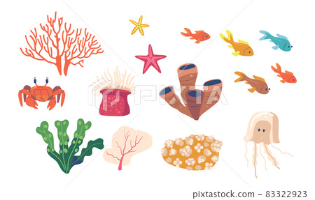 Sea Animals, Coral Reef Seaweeds Underwater Plants. Isolated Starfish, Jellyfish, Crab and School of Fish, Aquarium 83322923