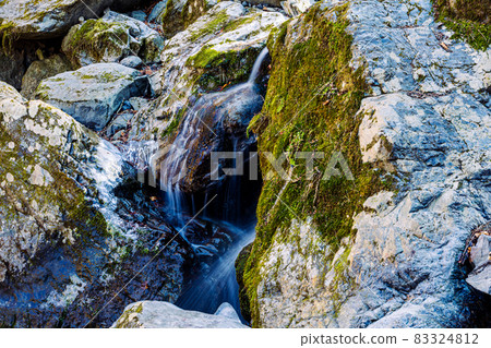 Sky blue, high, deciduous walking in bare trees 83324812