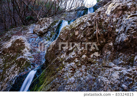 Sky blue, high, deciduous walking in bare trees 83324815