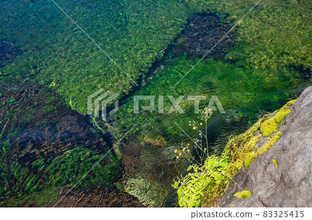 Mt. Fuji Honmu Shirama Asama Taisha Spring Pond Mt. Fuji Honmu Shirama Asama Taisha Spring Pond 83325415