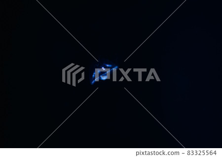 水族館水母 83325564