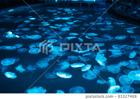 Aquarium jellyfish 83327408
