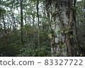 Woods	 83327722