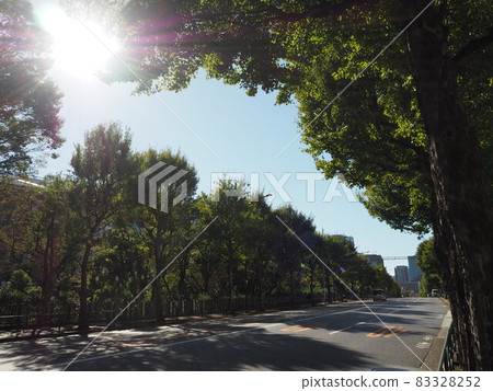 從御茶水站到水道橋站的外堀通 從御茶水站到水道橋站的外堀通 83328252
