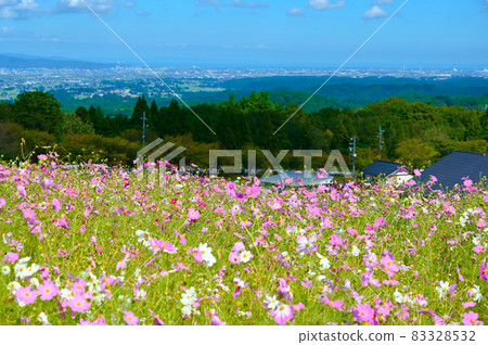 Tonami Yumenotaira Ski Resort Cosmos Tonami City Tonami Yumenotaira Ski Resort Cosmos Tonami City 83328532