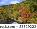 Autumn leaves of the Yagen mountain stream in Mutsu city 83329222