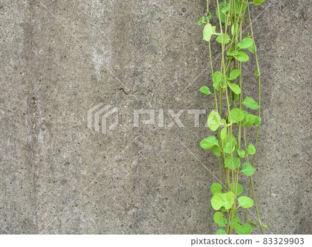 Botanical image Botanical image 83329903