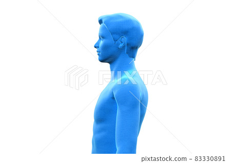 Male body, body, 3D 83330891
